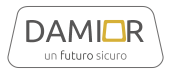 DAMIOR logo